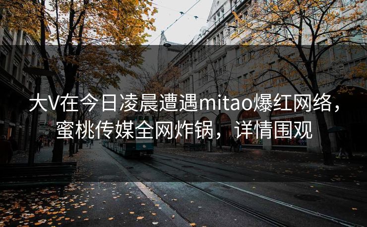 大V在今日凌晨遭遇mitao爆红网络,蜜桃传媒全网炸锅,详情围观 大V在今日凌晨遭遇mitao爆红网络,蜜桃传媒全网炸锅,详情围观
