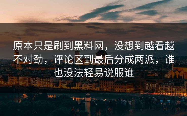 原本只是刷到黑料网，没想到越看越不对劲，评论区到最后分成两派，谁也没法轻易说服谁
